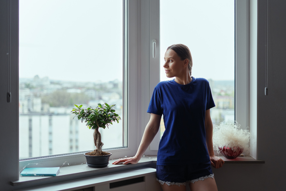Raleigh Window Styles